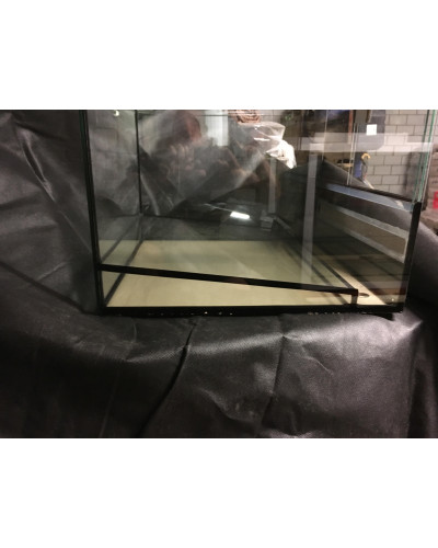Froschterrarium