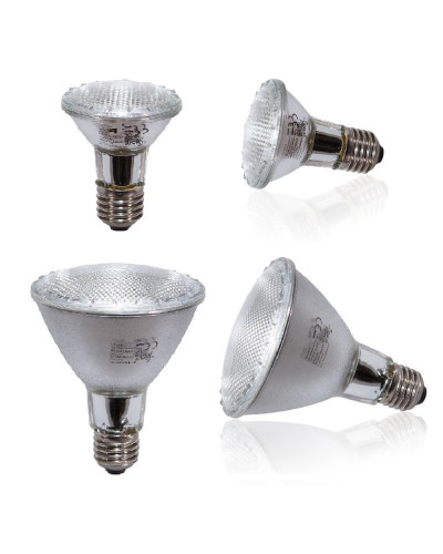 UV-Halogenspot