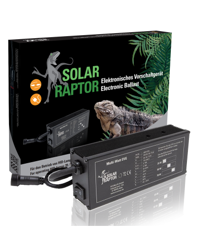 Solar Raptor EVG