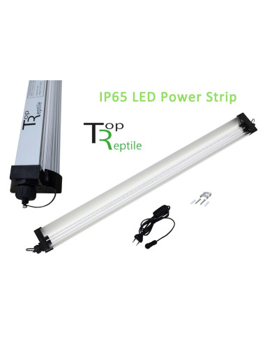 Led Power Strip von TopReptile