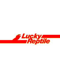 Lucky Reptile