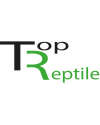 Top-Reptile